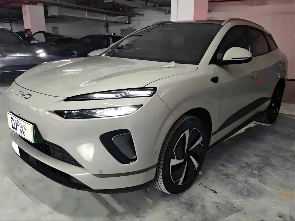 BYD 海狮06 2025