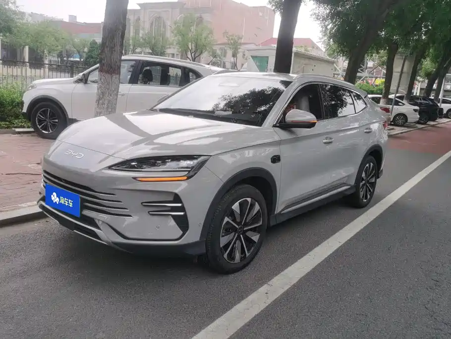 BYD PLUS New Energy 2025