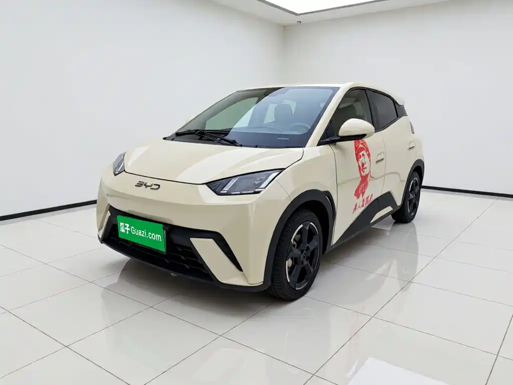 BYD Seagull 2024