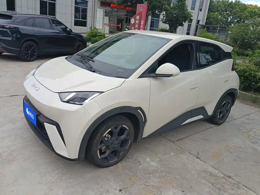 BYD Seagull 2024