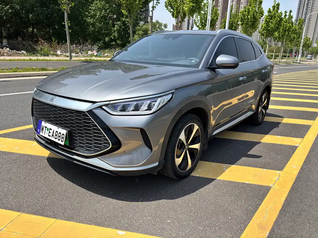 BYD PLUS New Energy 2022