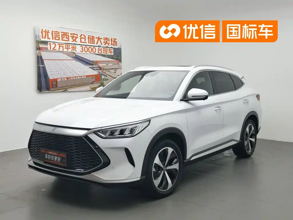 BYD PLUS New Energy 2021