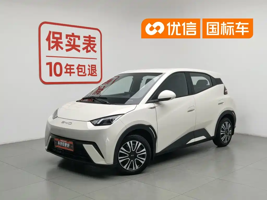 BYD Seagull 2024