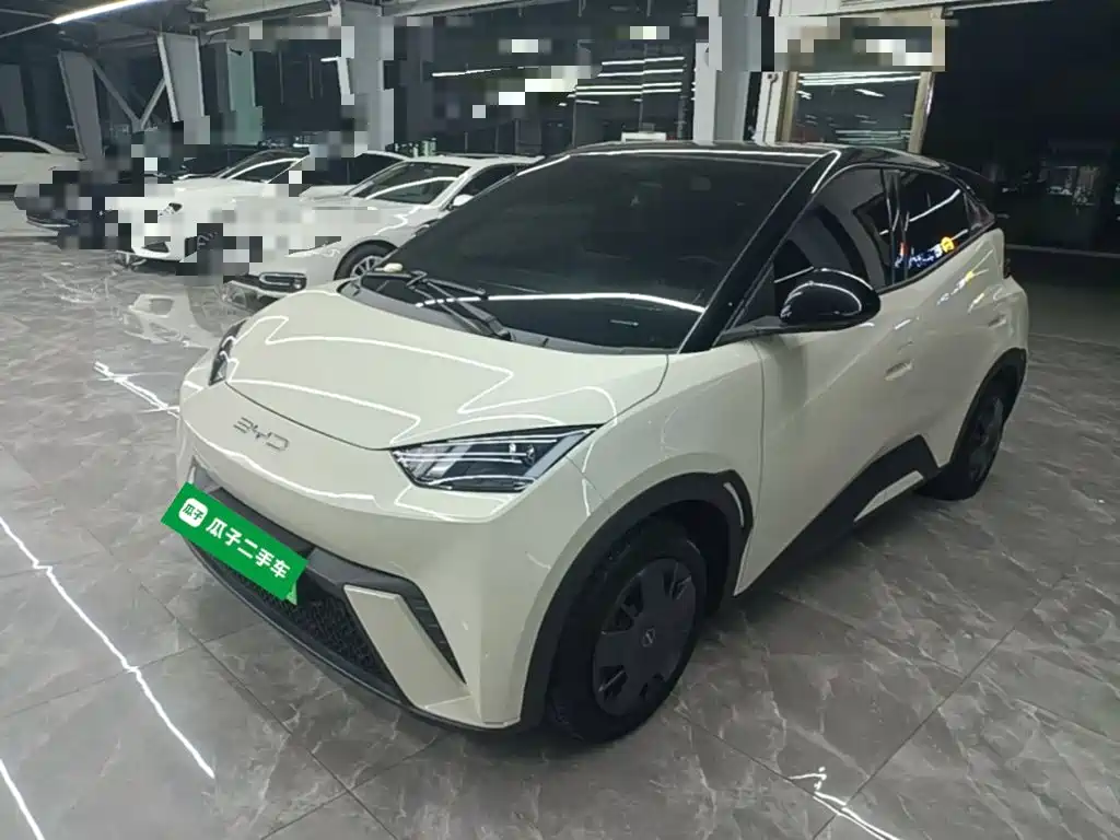 BYD Seagull 2024