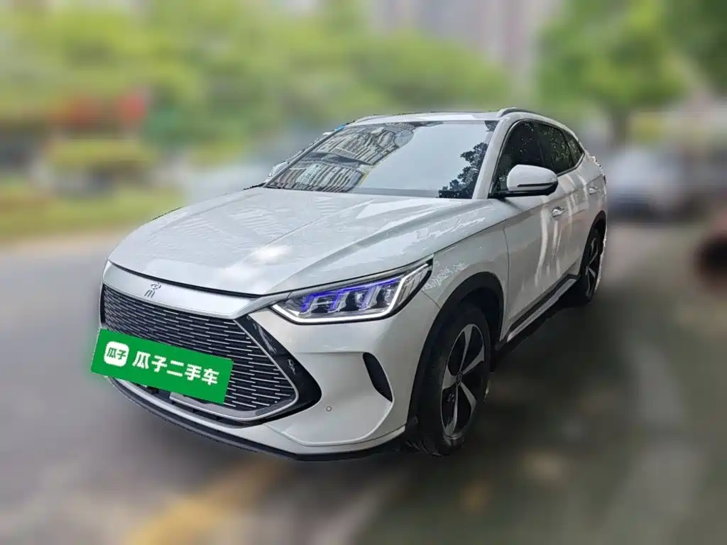 BYD PLUS New Energy 2021