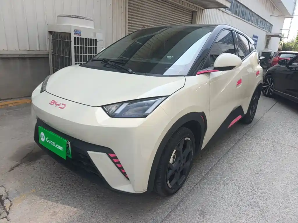 BYD Seagull 2024