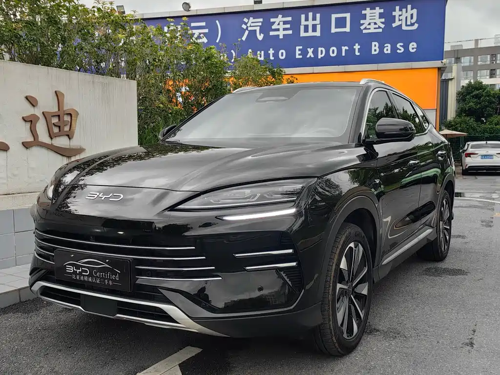 BYD PLUS New Energy 2025