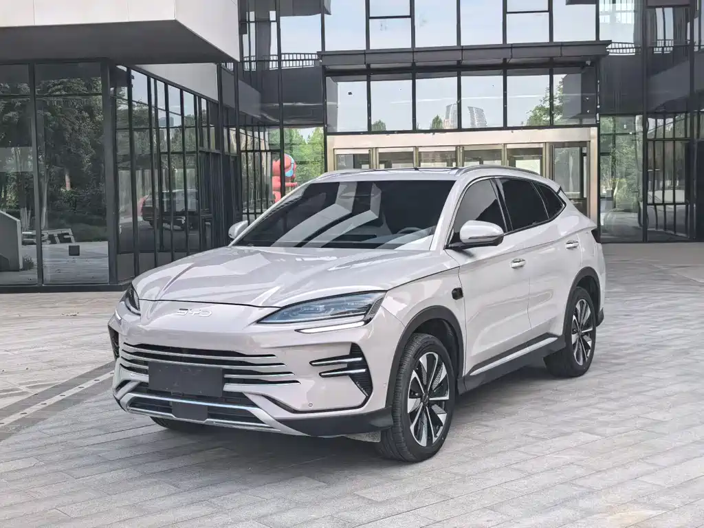 BYD PLUS New Energy 2025