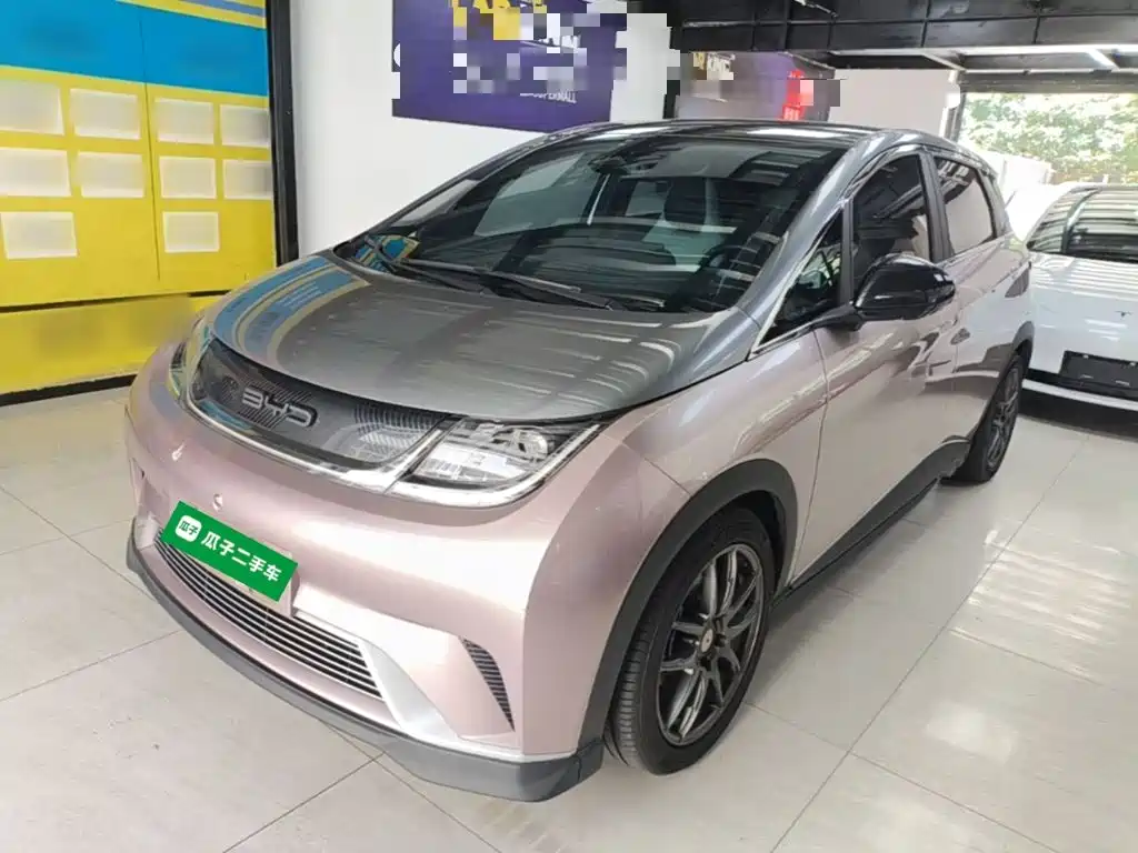 BYD Dolphin 2022