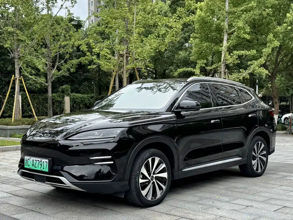 BYD PLUS New Energy 2024