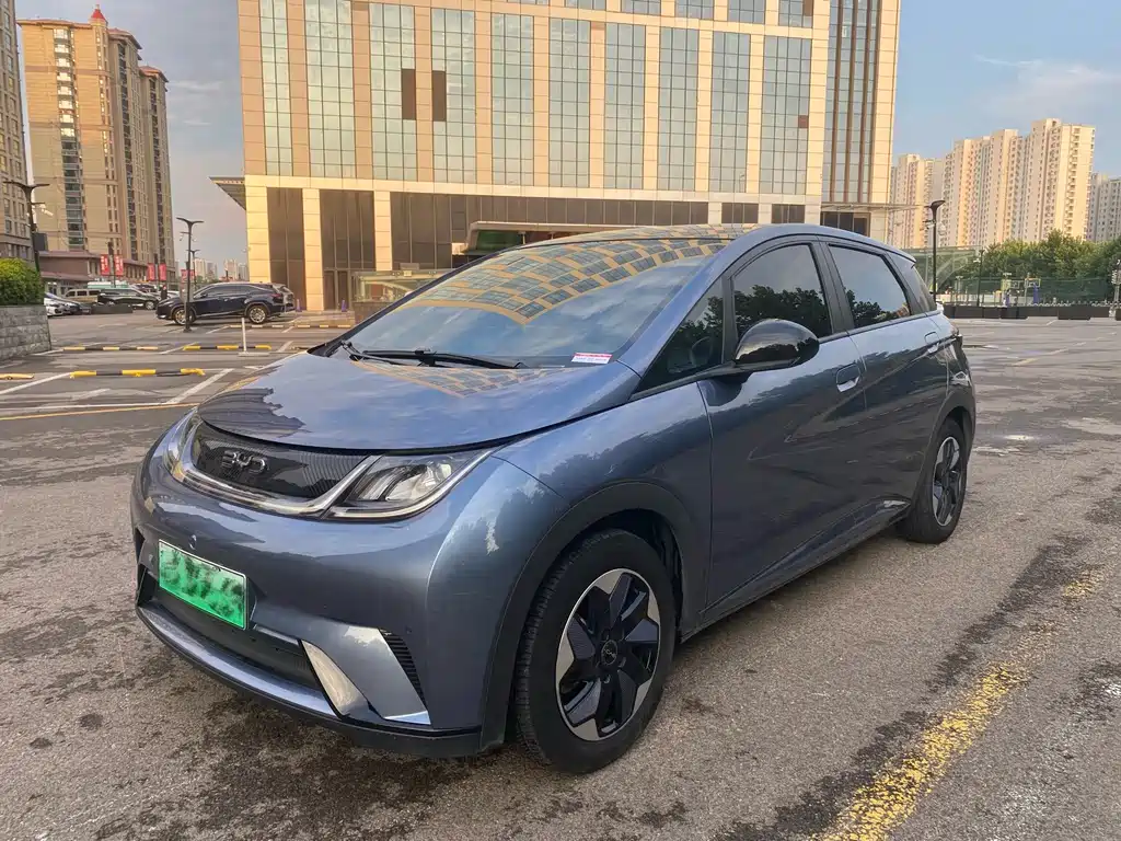 BYD Dolphin 2024