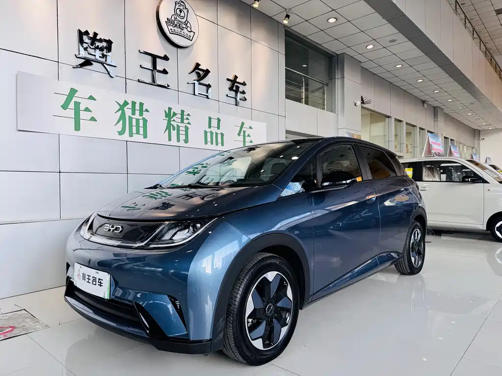 BYD Dolphin 2024