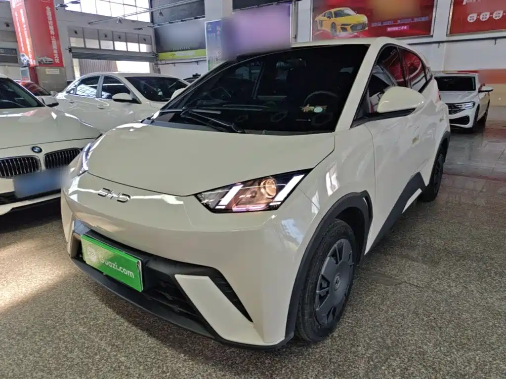 BYD Seagull 2024