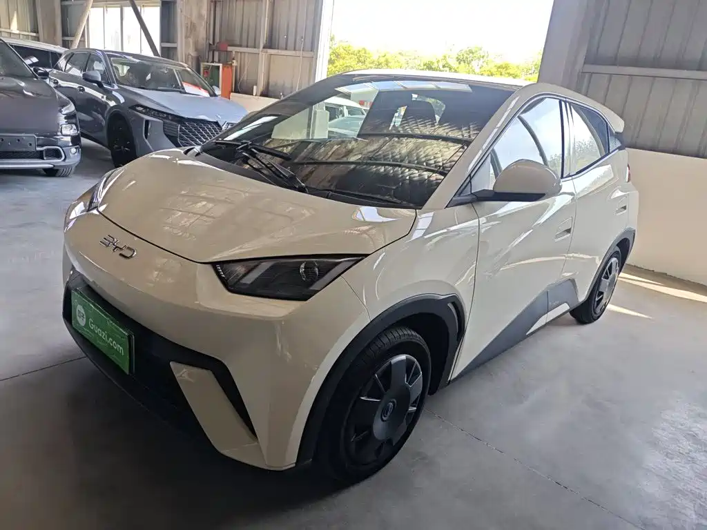 BYD Seagull 2024