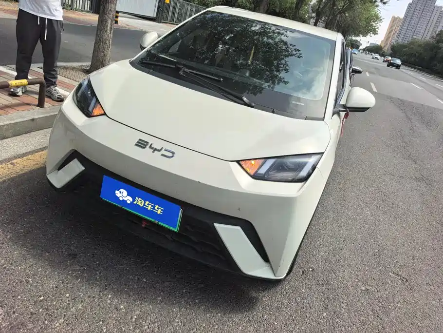 BYD Seagull 2024