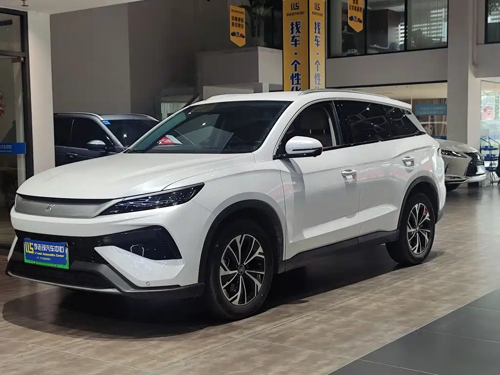 BYD Pro New Energy 2025