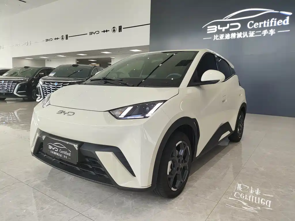 BYD Seagull 2024