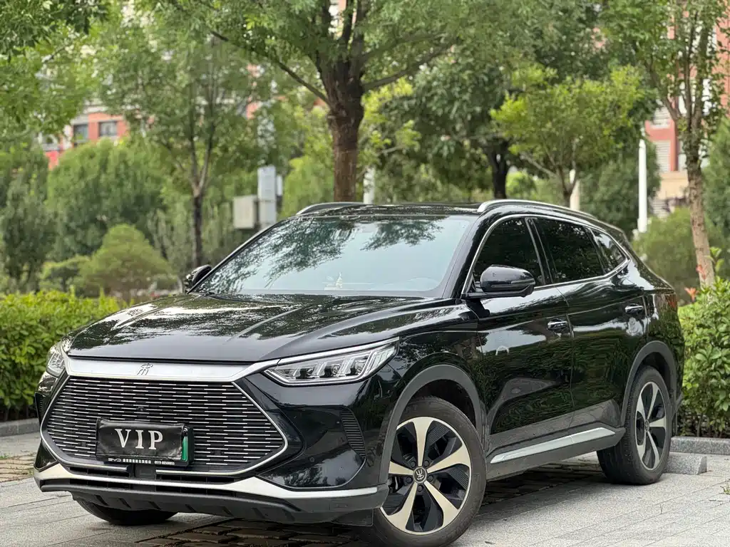 BYD PLUS New Energy 2021