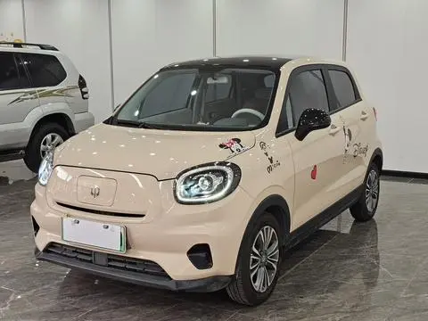 Leapmoo T03 2024 310 Comfort Edition