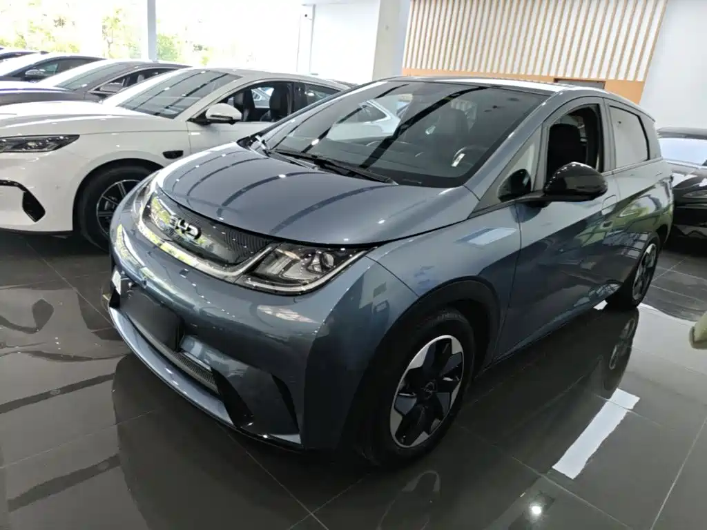 BYD Dolphin 2024