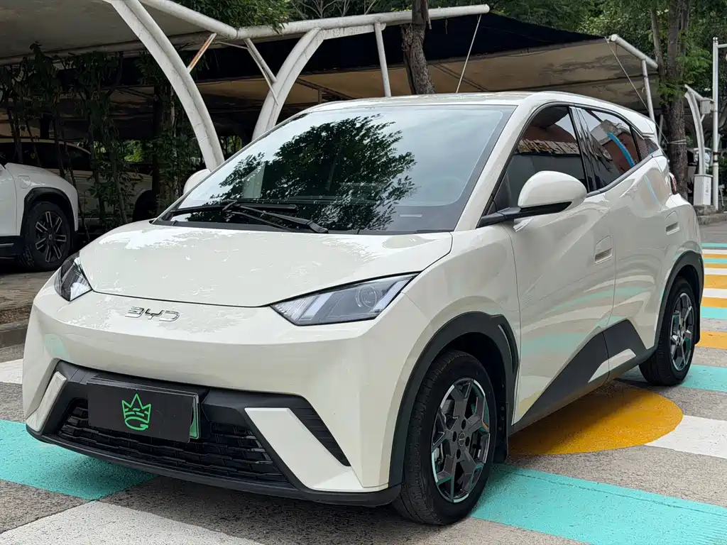 BYD Seagull 2025