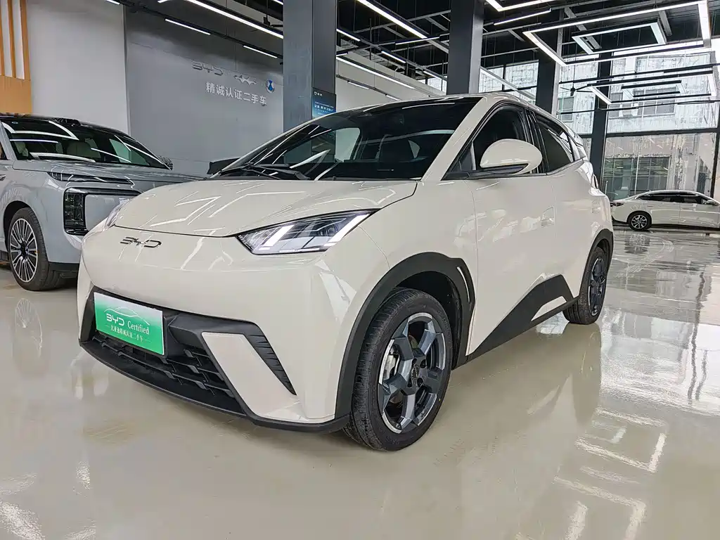 BYD Seagull 2023