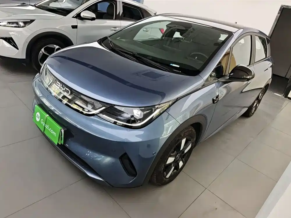 BYD Dolphin 2025