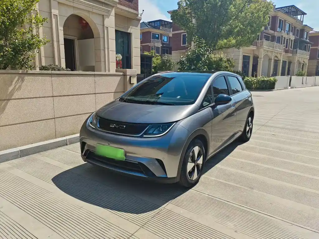BYD Dolphin 2024