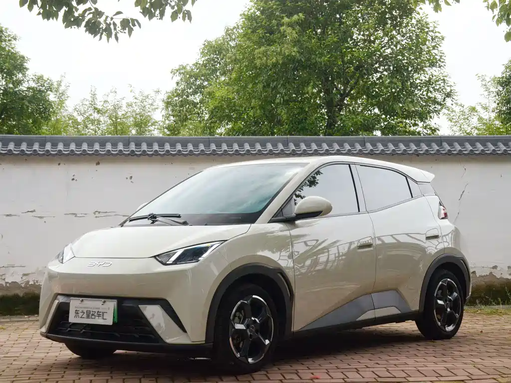 BYD Seagull 2024