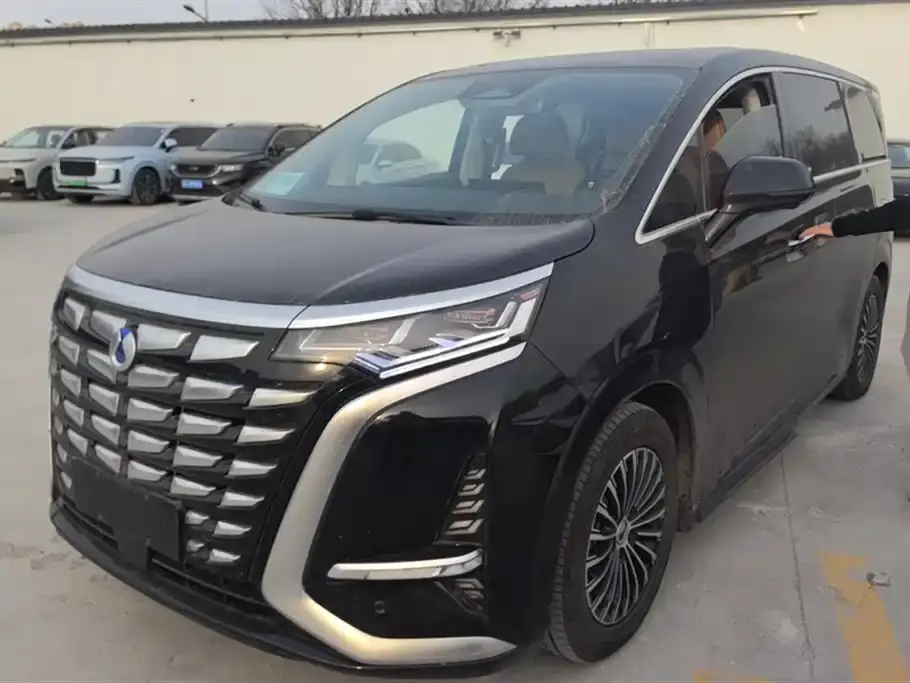 Denza D9 2024 DM-i 1050 Exclusive Type