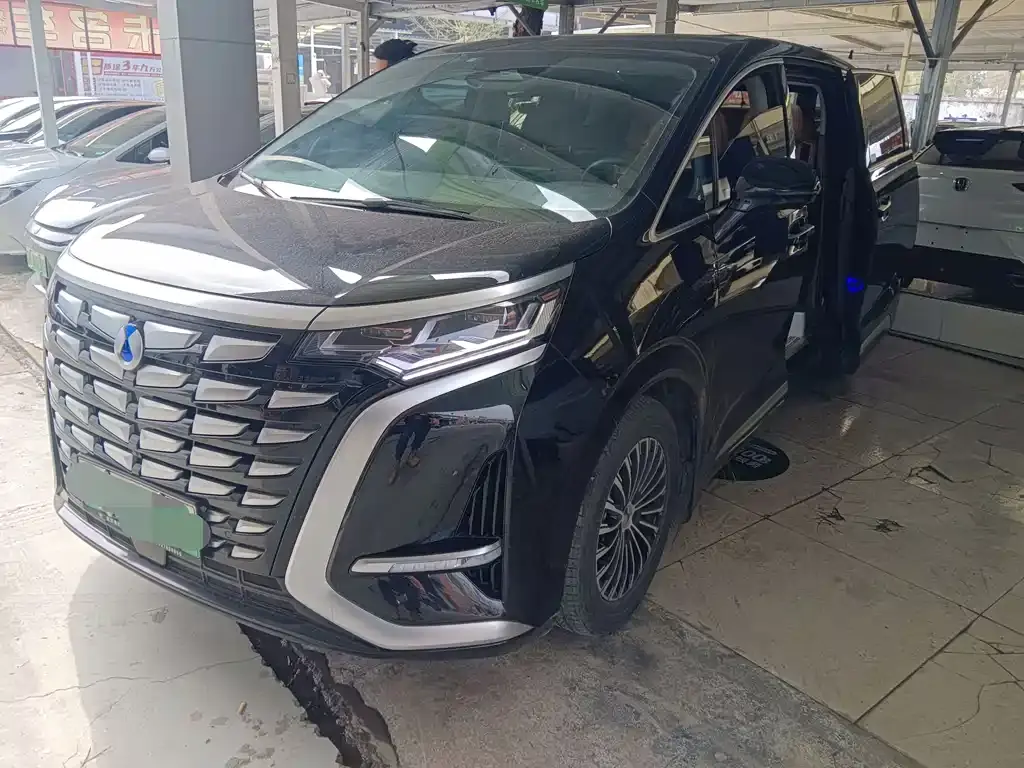 Denza D9 2022 DM-i 1040 Premium Type