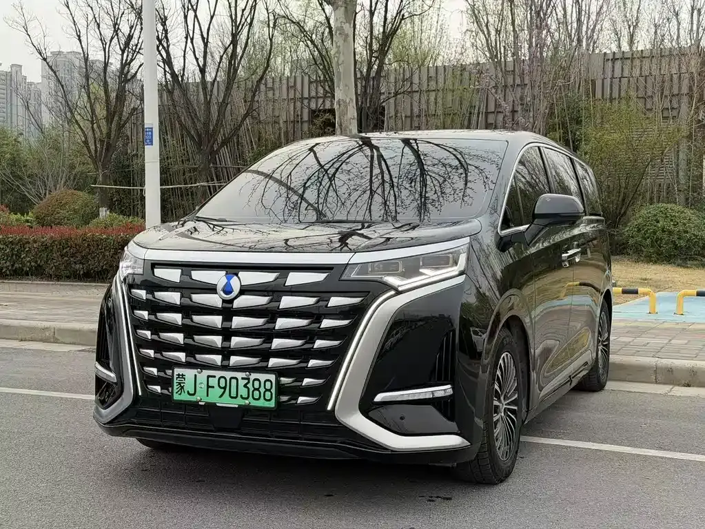 Denza D9 2024 DM-i 980 four-wheel drive premium model