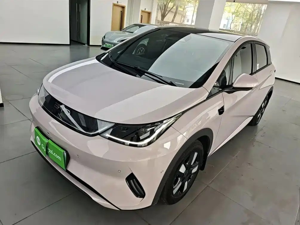 BYD Dolphin 2025
