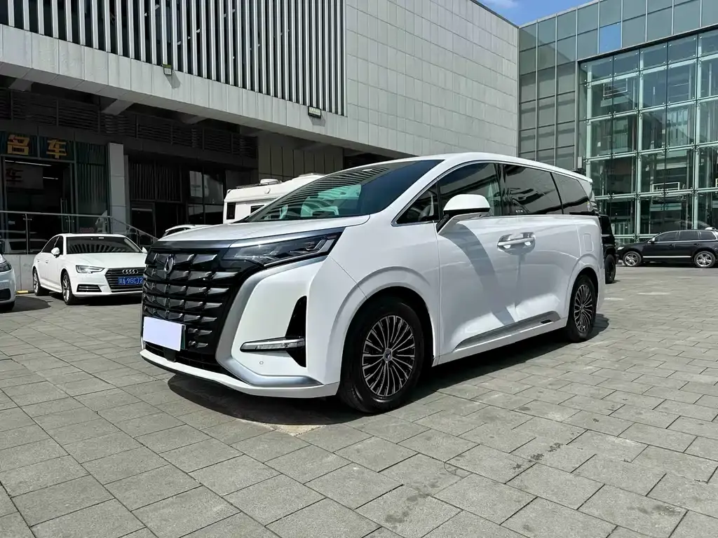 Denza D9 2022 DM-i 1040 Premium Type