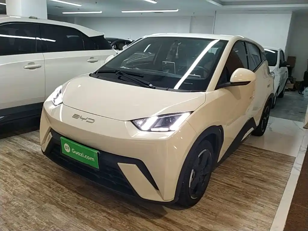 BYD Seagull 2024