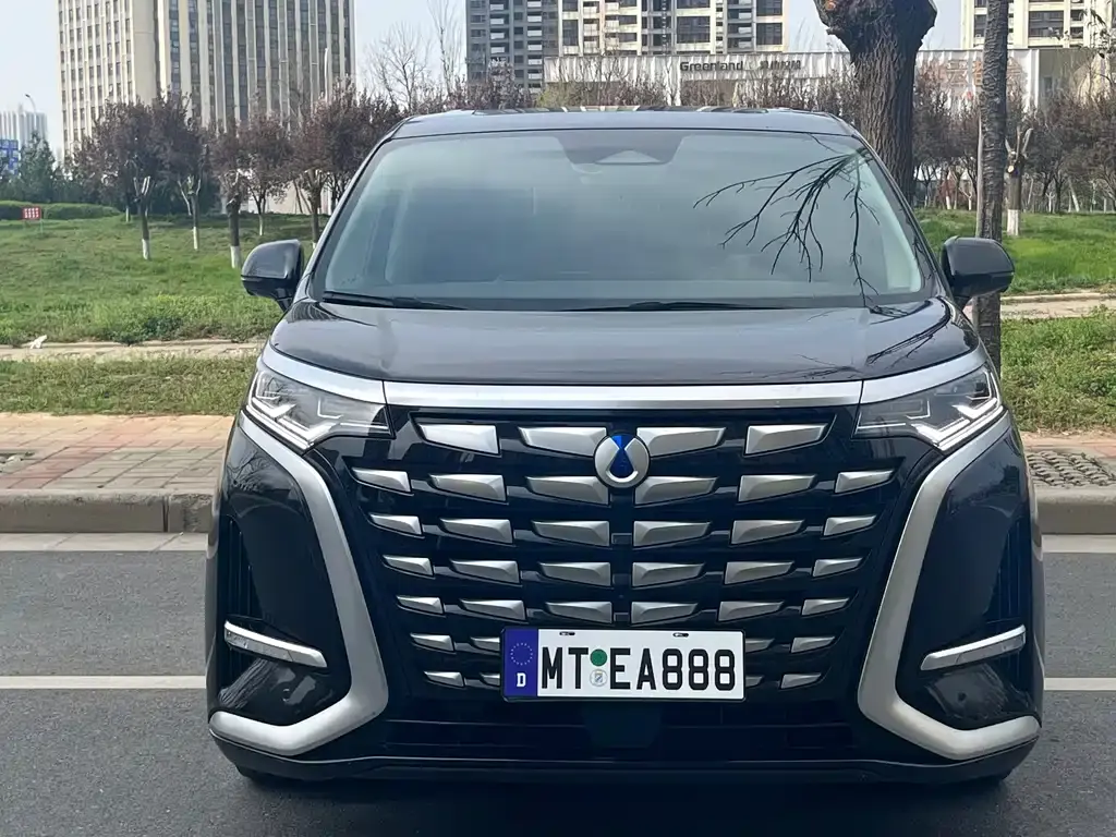 Denza D9 2024 DM-i 1050 Exclusive Type