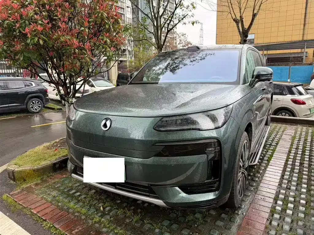 Denza N9 2025 flagship model