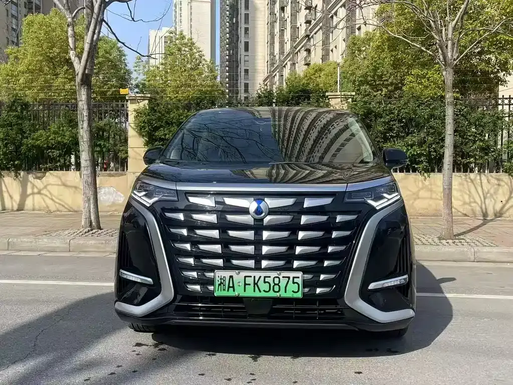 Denza D9 2024 DM-i 980 four-wheel drive flagship model