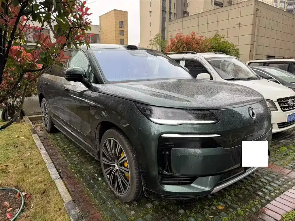 Denza N9 2025 flagship model