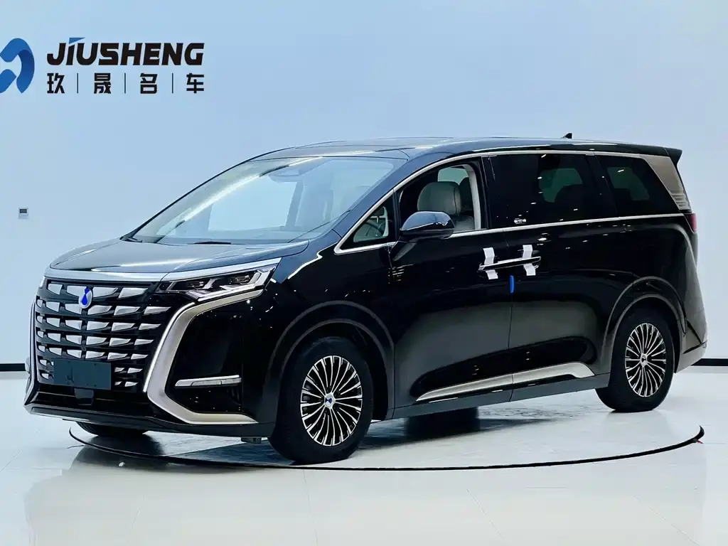 Denza D9 2024 DM-i 1050 Exclusive Type