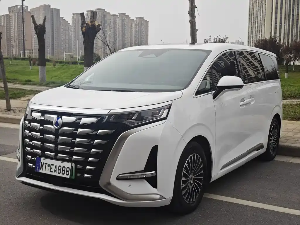 Denza D9 2022 DM-i 1040 Premium Type