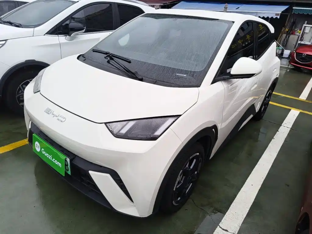 BYD Seagull 2024