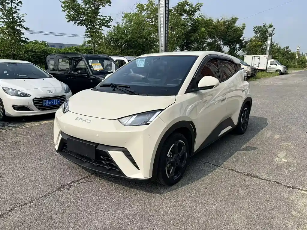 BYD Seagull 2024