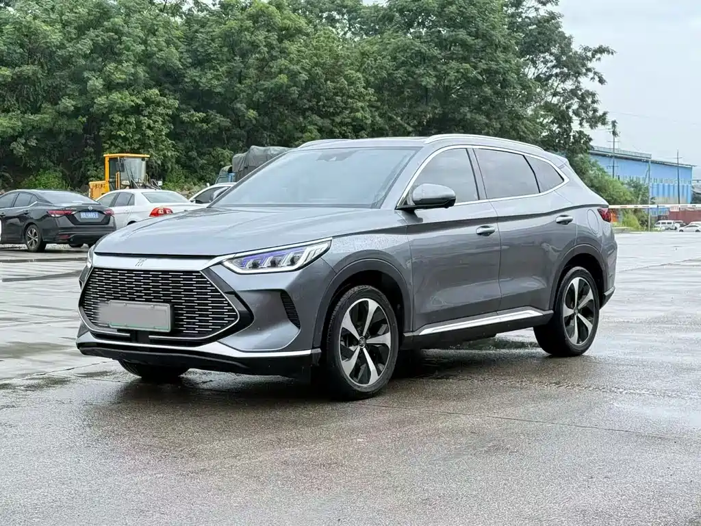 BYD PLUS New Energy 2021