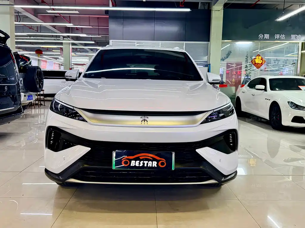 BYD Pro New Energy 2025