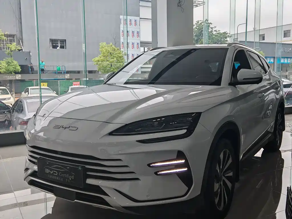 BYD PLUS New Energy 2024