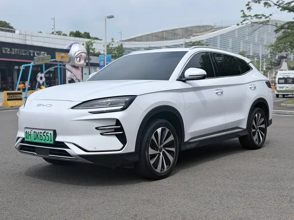 BYD PLUS New Energy 2024