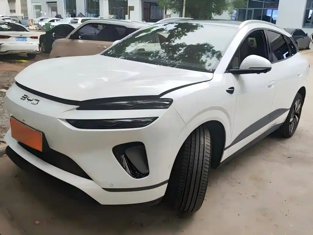 BYD 海狮06 2025
