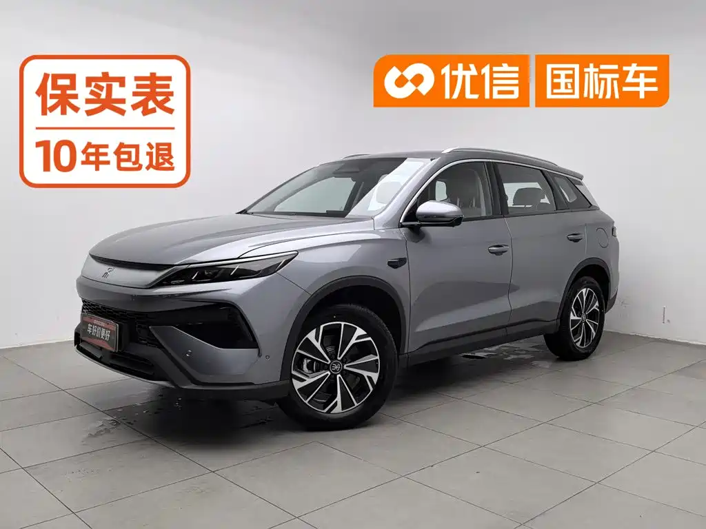 BYD Pro New Energy 2026
