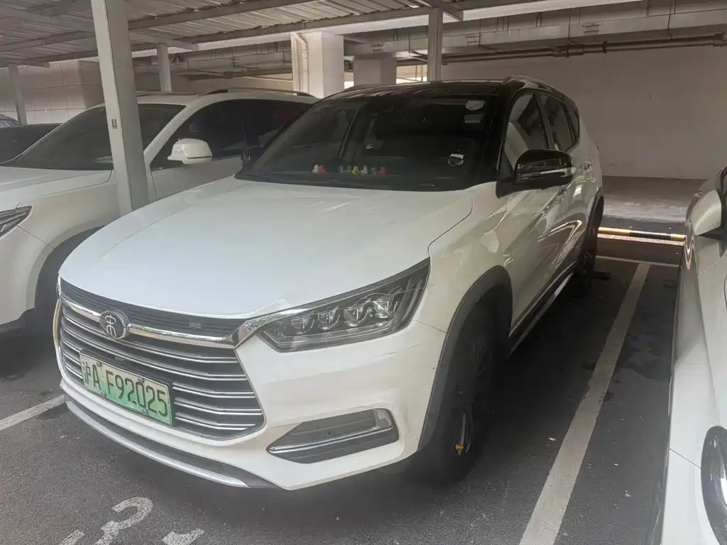 BYD New Energy 2019